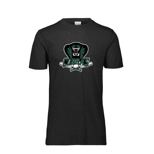 [FTSCUBBK-AS-LOGO2] Decker Men's Tri-Blend T-Shirt - Short Sleeve (Adult S, Black, Logo 2)