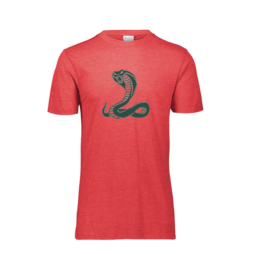 [FTSCUBRD-YS-LOGO3] Decker Youth Tri-Blend T-Shirt - Short Sleeve (Youth S, Red, Logo 3)